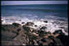 Ocean.jpg (92128 bytes)